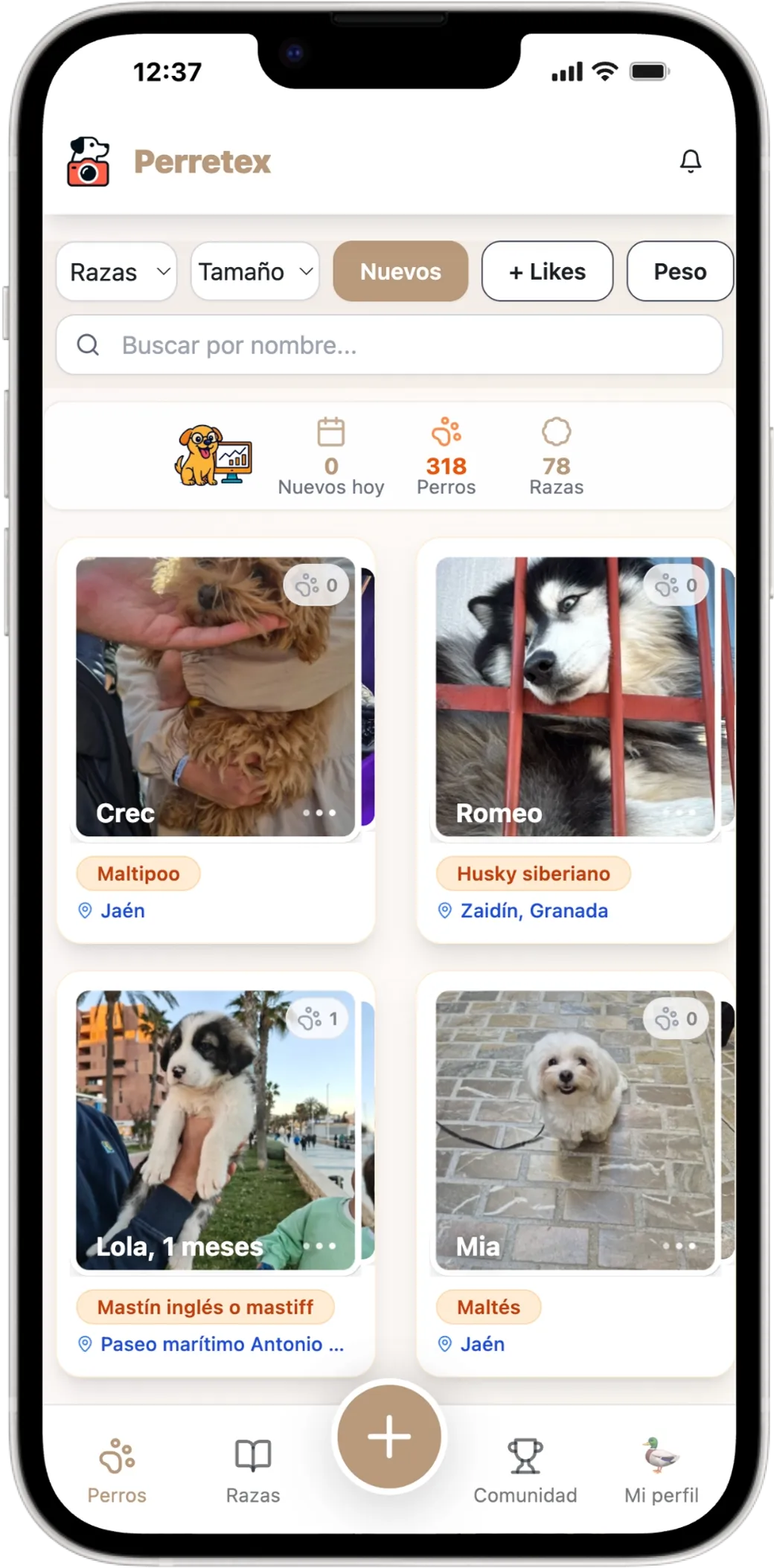 Perretex: A Dog Pokédex